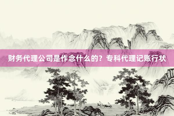 财务代理公司是作念什么的？专科代理记账行状