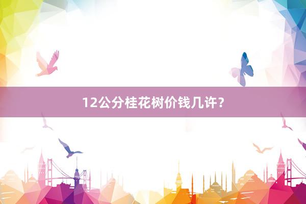 12公分桂花树价钱几许？
